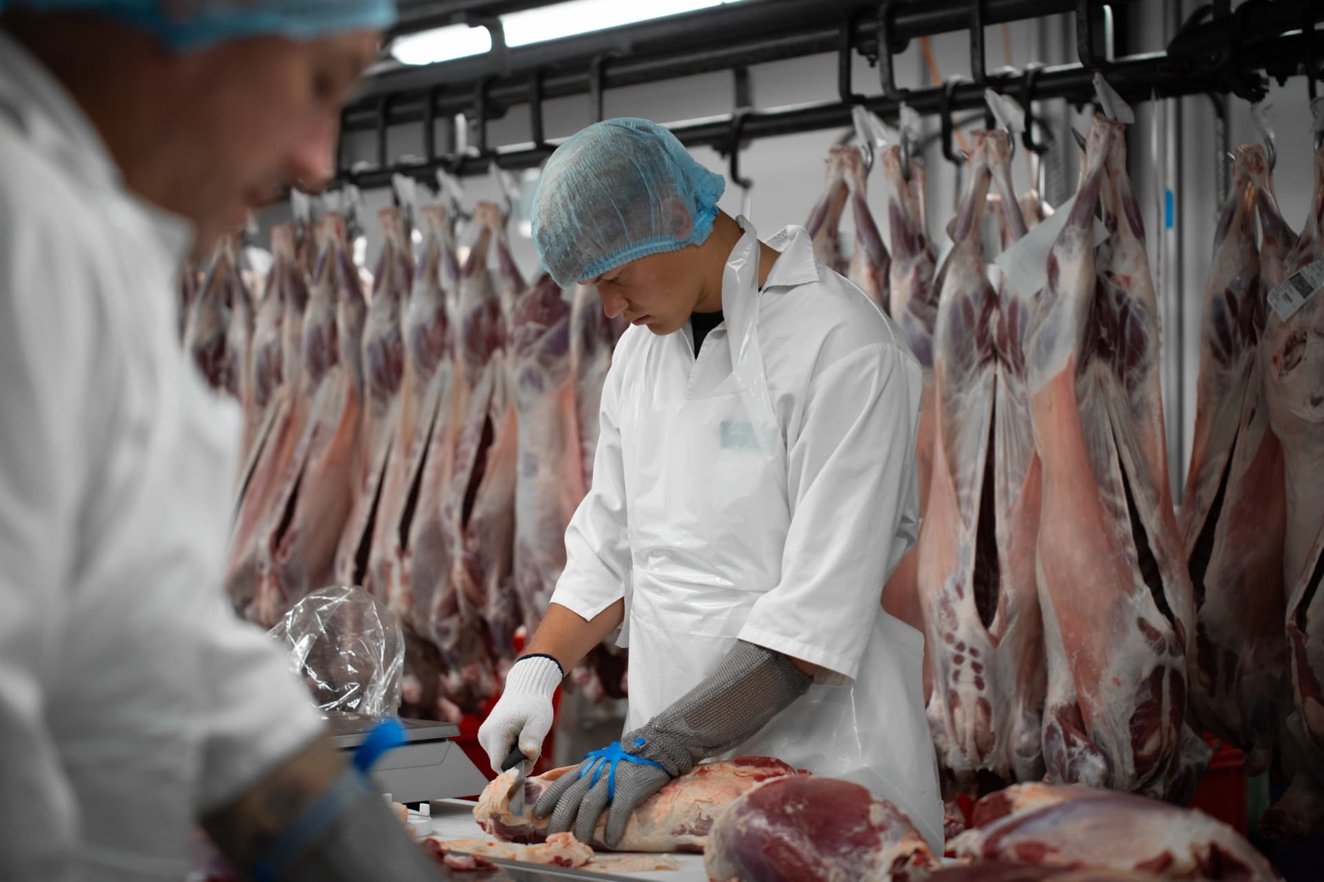 Zwei Metzger in Schutzkleidung verarbeiten Fleisch.